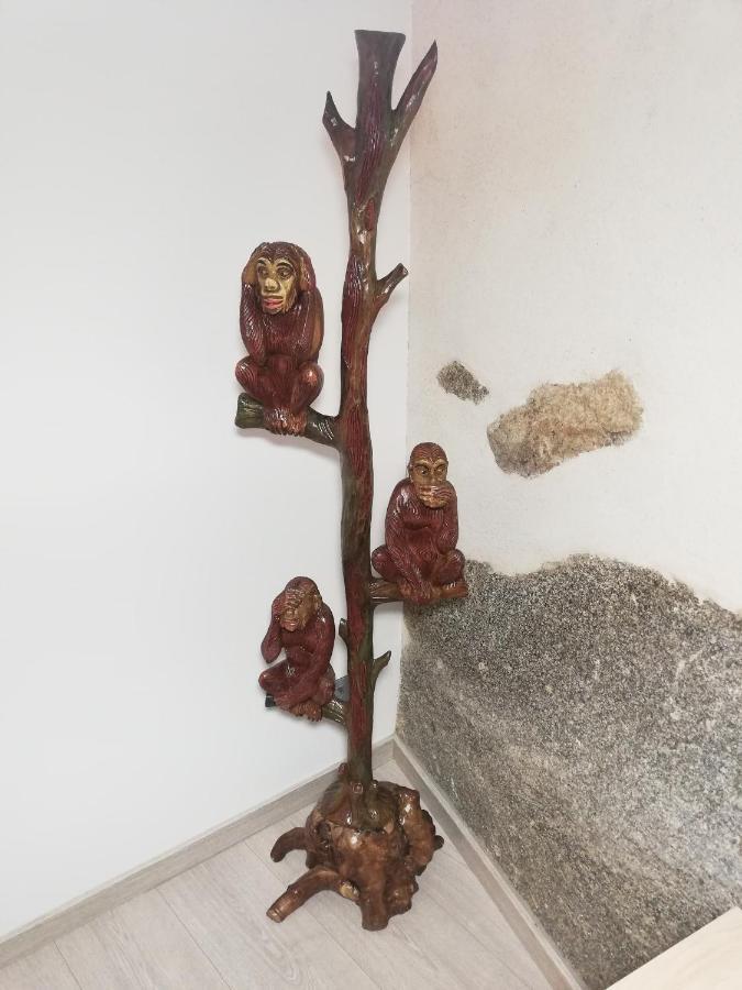 Los Tres Monos Ávila المظهر الخارجي الصورة